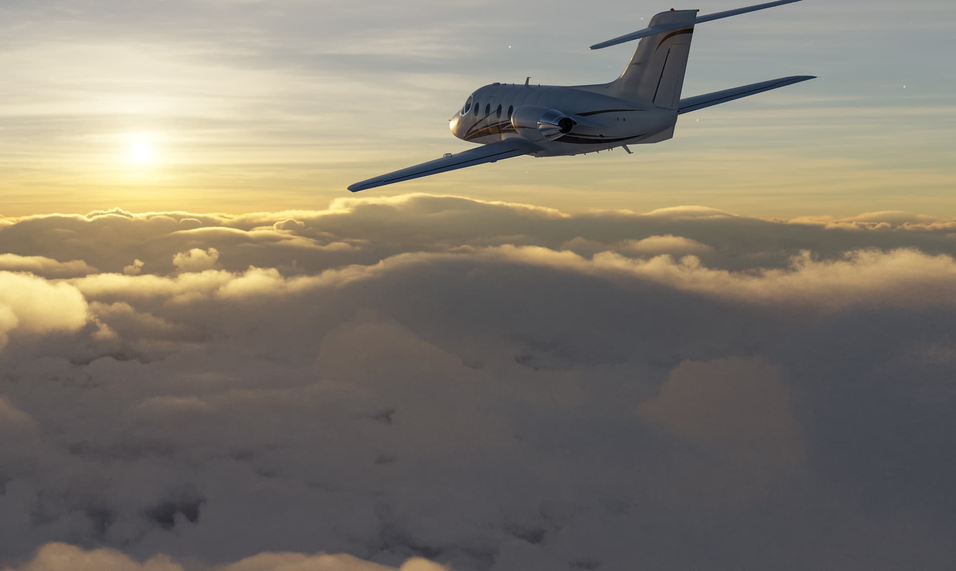 Ticket Wiz background